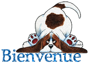 Gif animé bienvenue chien